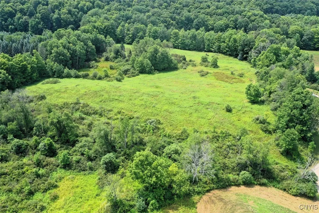 County Route 46, Dansville, New York 14437, Dansville, New York 14437, ,Land,For Sale,County Route 46, Dansville, New York 14437,S1627490
