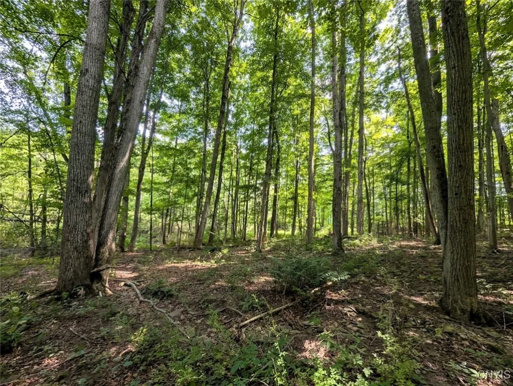 County Route 46, Dansville, New York 14437, Dansville, New York 14437, ,Land,For Sale,County Route 46, Dansville, New York 14437,S1627490