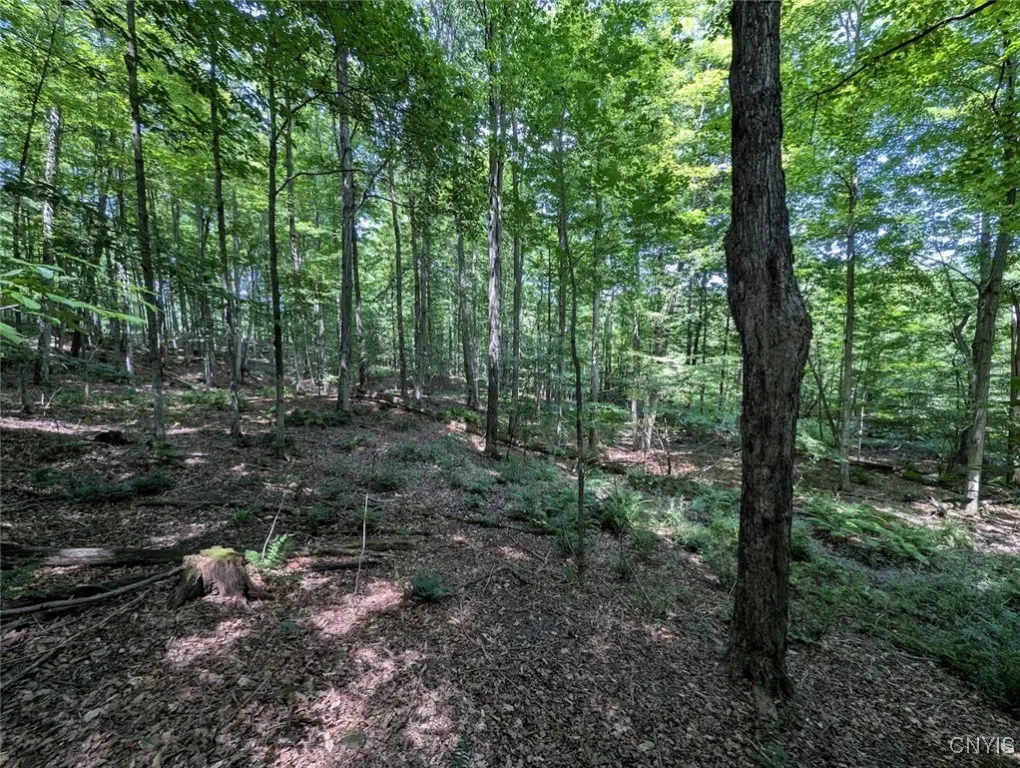 County Route 46, Dansville, New York 14437, Dansville, New York 14437, ,Land,For Sale,County Route 46, Dansville, New York 14437,S1627490