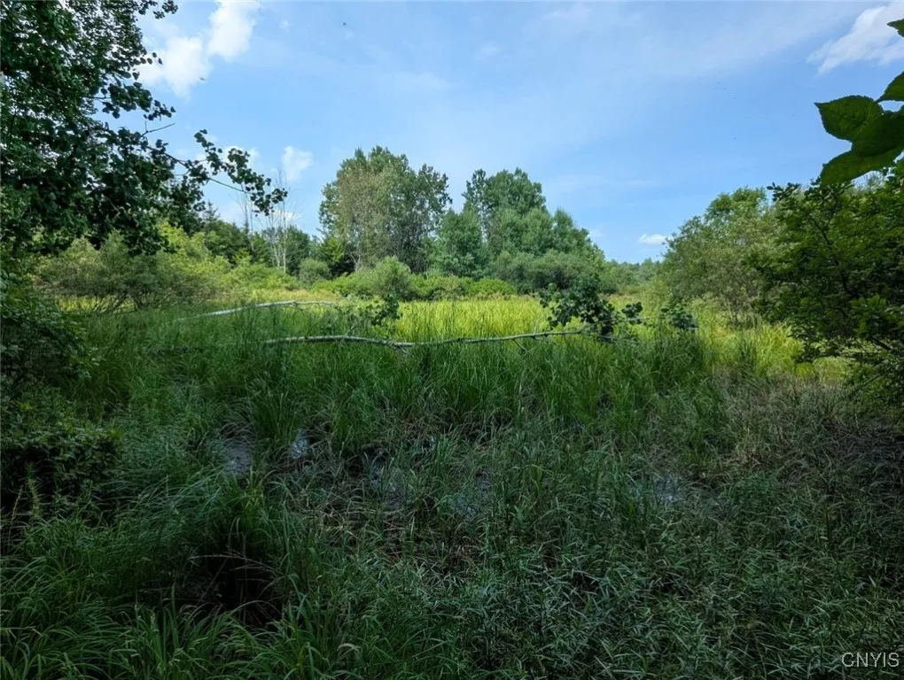 County Route 46, Dansville, New York 14437, Dansville, New York 14437, ,Land,For Sale,County Route 46, Dansville, New York 14437,S1627490