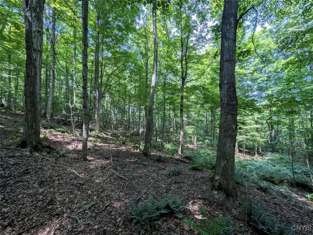 County Route 46, Dansville, New York 14437, Dansville, New York 14437, ,Land,For Sale,County Route 46, Dansville, New York 14437,S1627490