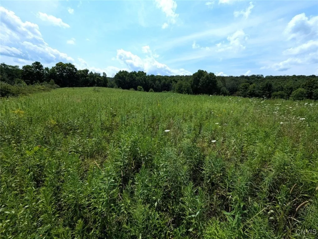 County Route 46, Dansville, New York 14437, Dansville, New York 14437, ,Land,For Sale,County Route 46, Dansville, New York 14437,S1627490