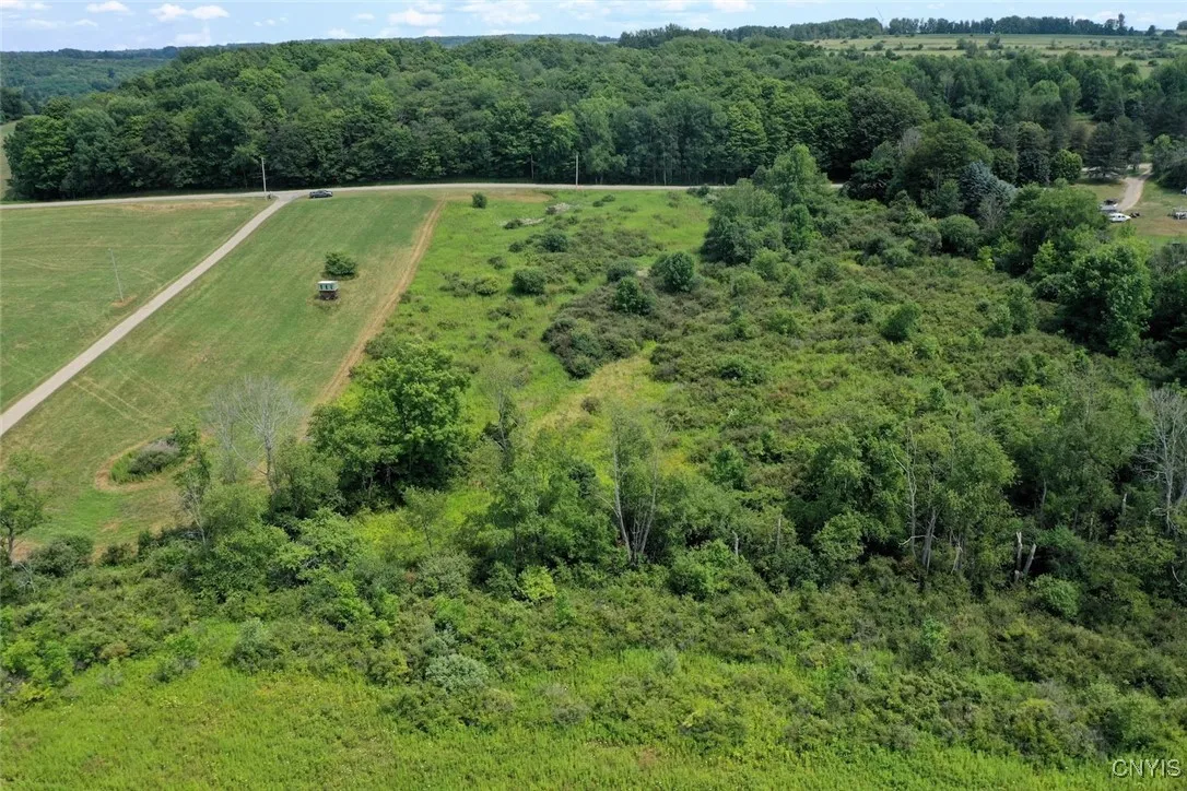 County Route 46, Dansville, New York 14437, Dansville, New York 14437, ,Land,For Sale,County Route 46, Dansville, New York 14437,S1627490