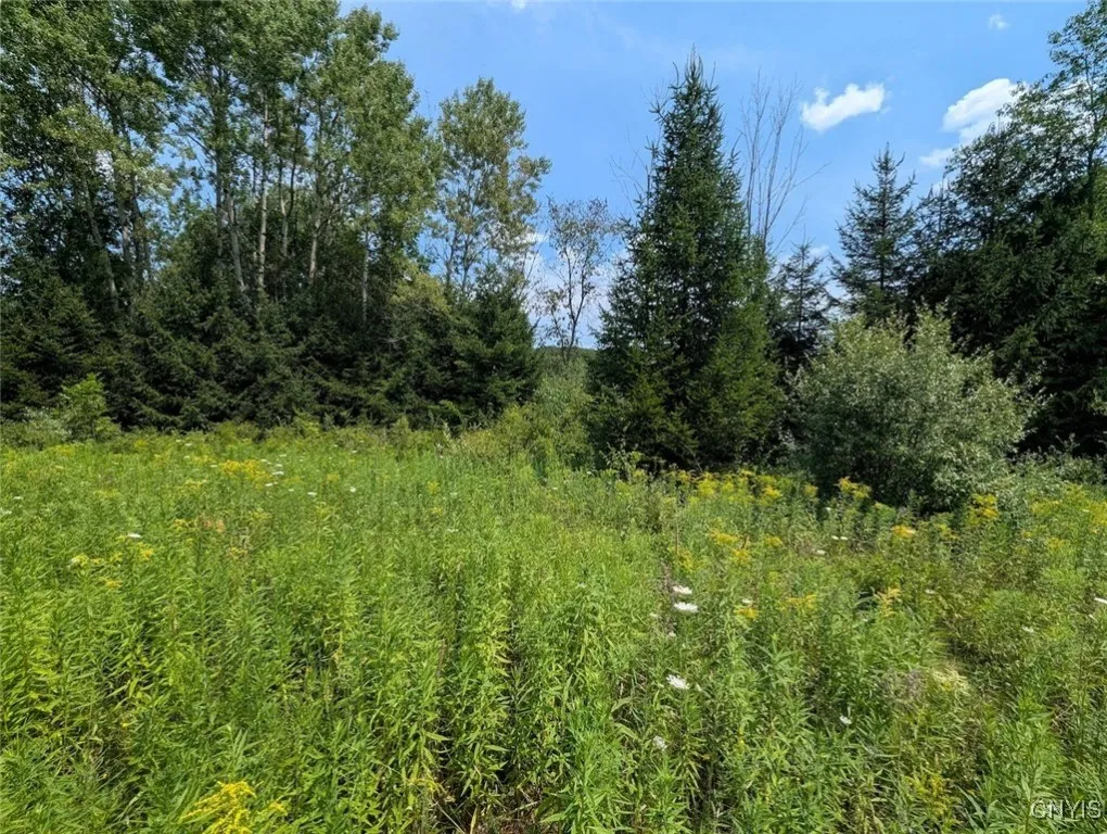 County Route 46, Dansville, New York 14437, Dansville, New York 14437, ,Land,For Sale,County Route 46, Dansville, New York 14437,S1627490
