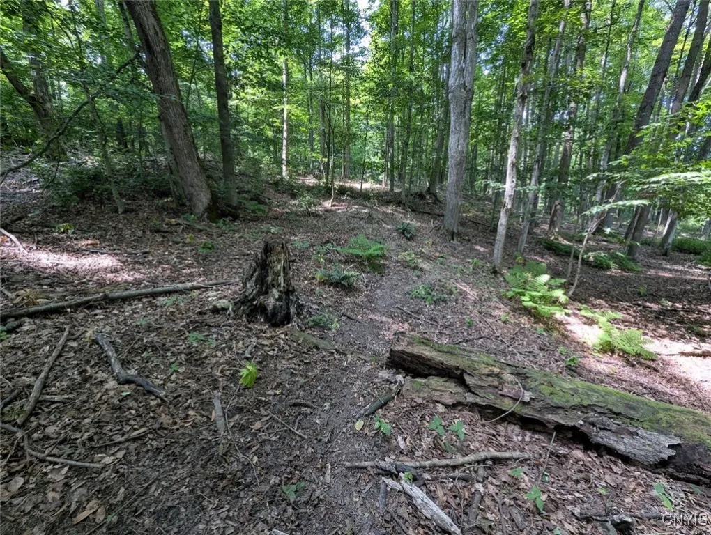 County Route 46, Dansville, New York 14437, Dansville, New York 14437, ,Land,For Sale,County Route 46, Dansville, New York 14437,S1627490