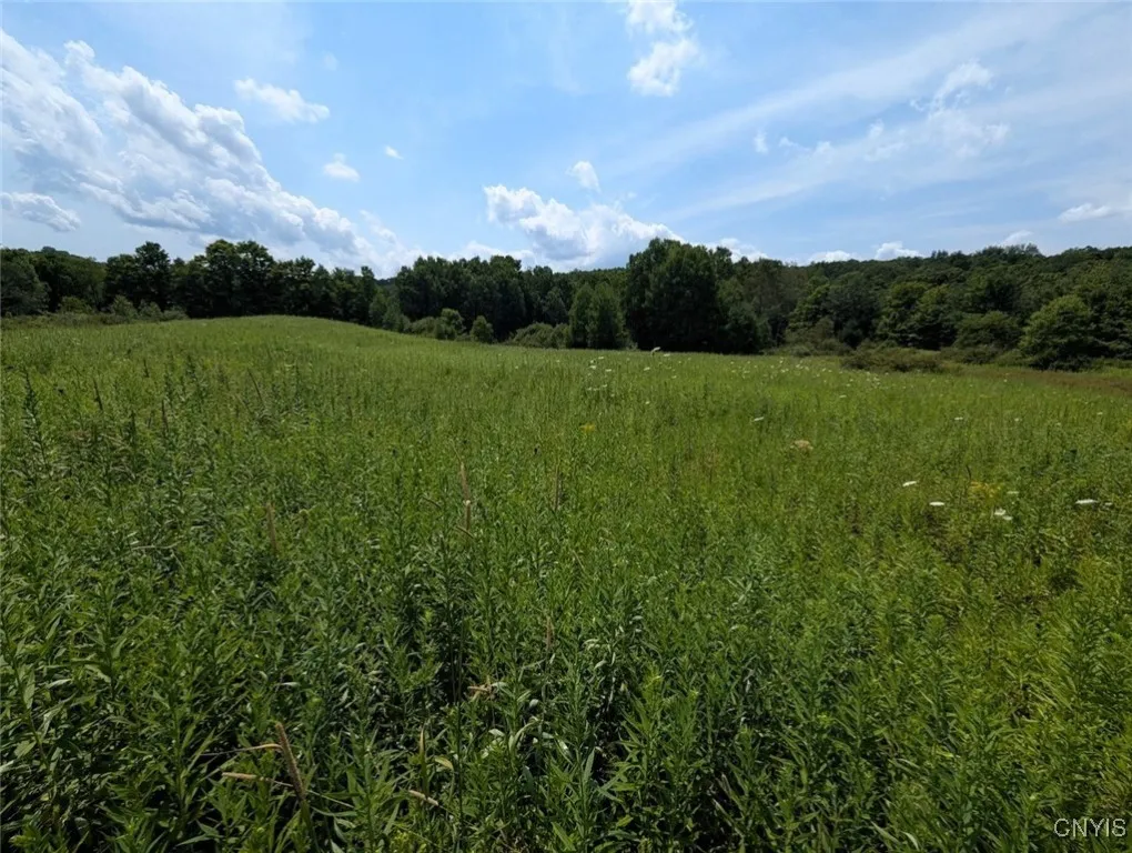 County Route 46, Dansville, New York 14437, Dansville, New York 14437, ,Land,For Sale,County Route 46, Dansville, New York 14437,S1627490