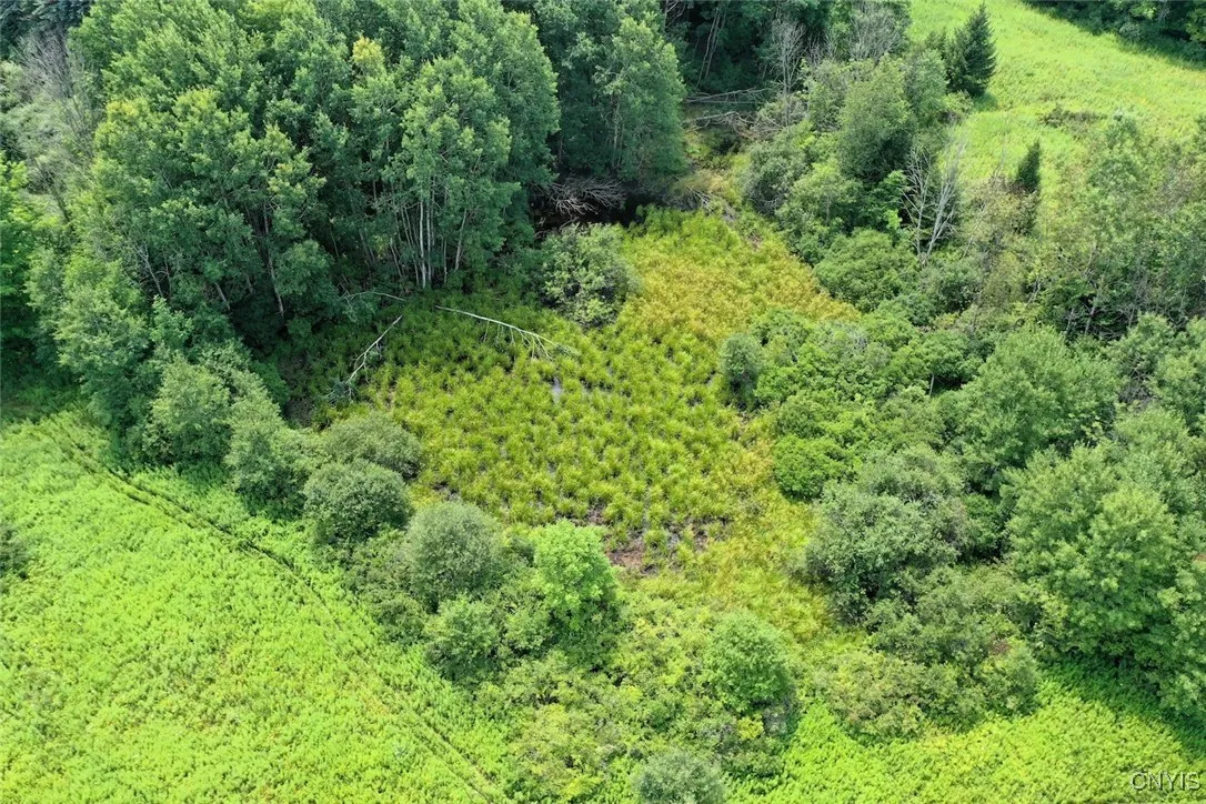 County Route 46, Dansville, New York 14437, Dansville, New York 14437, ,Land,For Sale,County Route 46, Dansville, New York 14437,S1627490