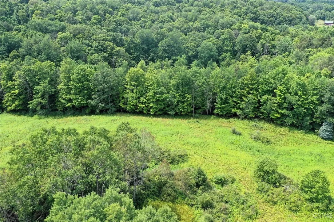 County Route 46, Dansville, New York 14437, Dansville, New York 14437, ,Land,For Sale,County Route 46, Dansville, New York 14437,S1627490