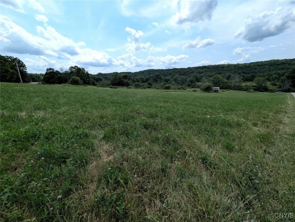 County Route 46, Dansville, New York 14437, Dansville, New York 14437, ,Land,For Sale,County Route 46, Dansville, New York 14437,S1627490