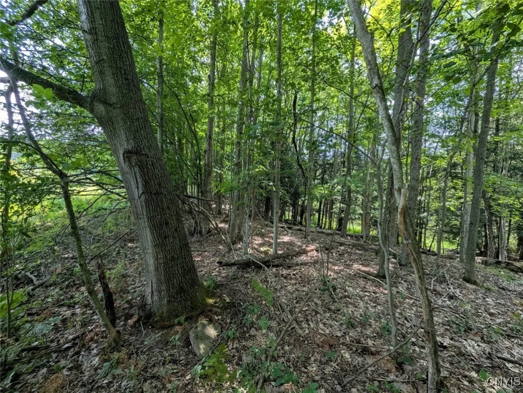 County Route 46, Dansville, New York 14437, Dansville, New York 14437, ,Land,For Sale,County Route 46, Dansville, New York 14437,S1627490