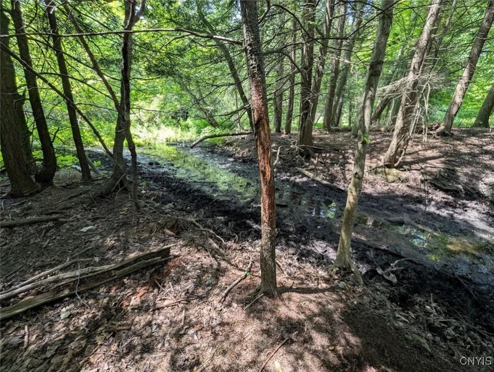 County Route 46, Dansville, New York 14437, Dansville, New York 14437, ,Land,For Sale,County Route 46, Dansville, New York 14437,S1627490