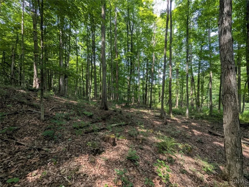 County Route 46, Dansville, New York 14437, Dansville, New York 14437, ,Land,For Sale,County Route 46, Dansville, New York 14437,S1627490