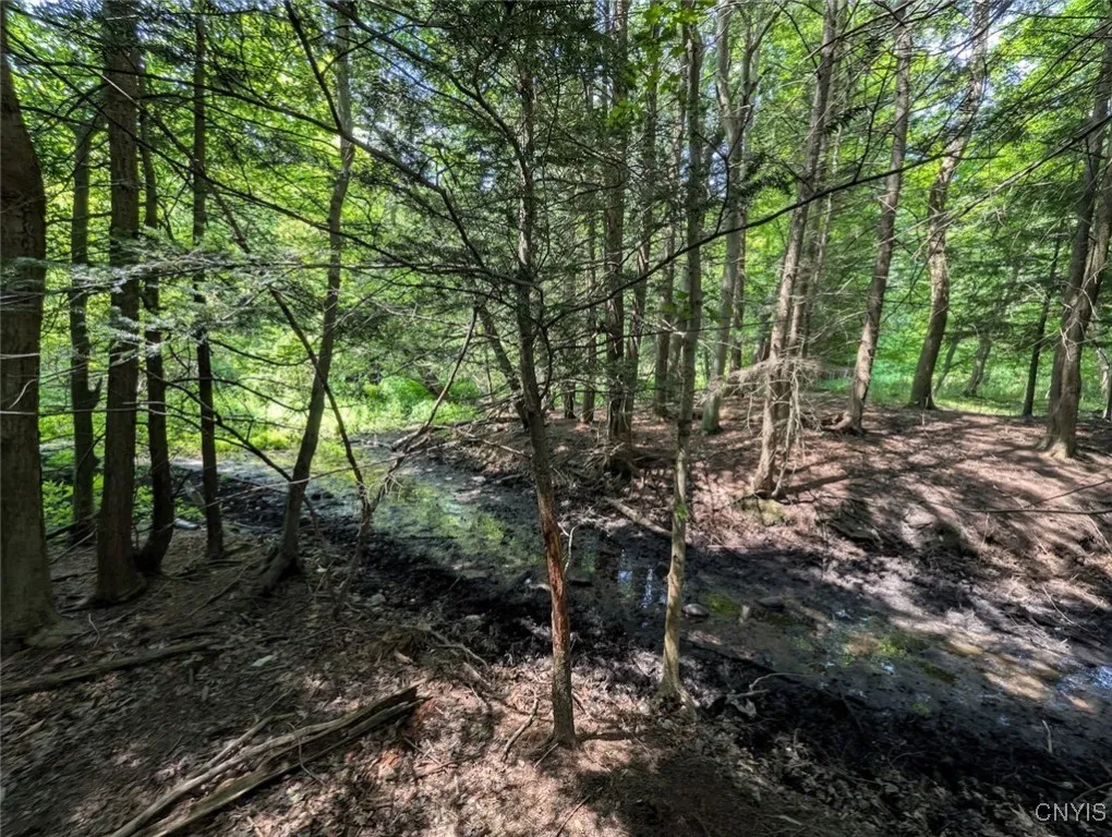 County Route 46, Dansville, New York 14437, Dansville, New York 14437, ,Land,For Sale,County Route 46, Dansville, New York 14437,S1627490