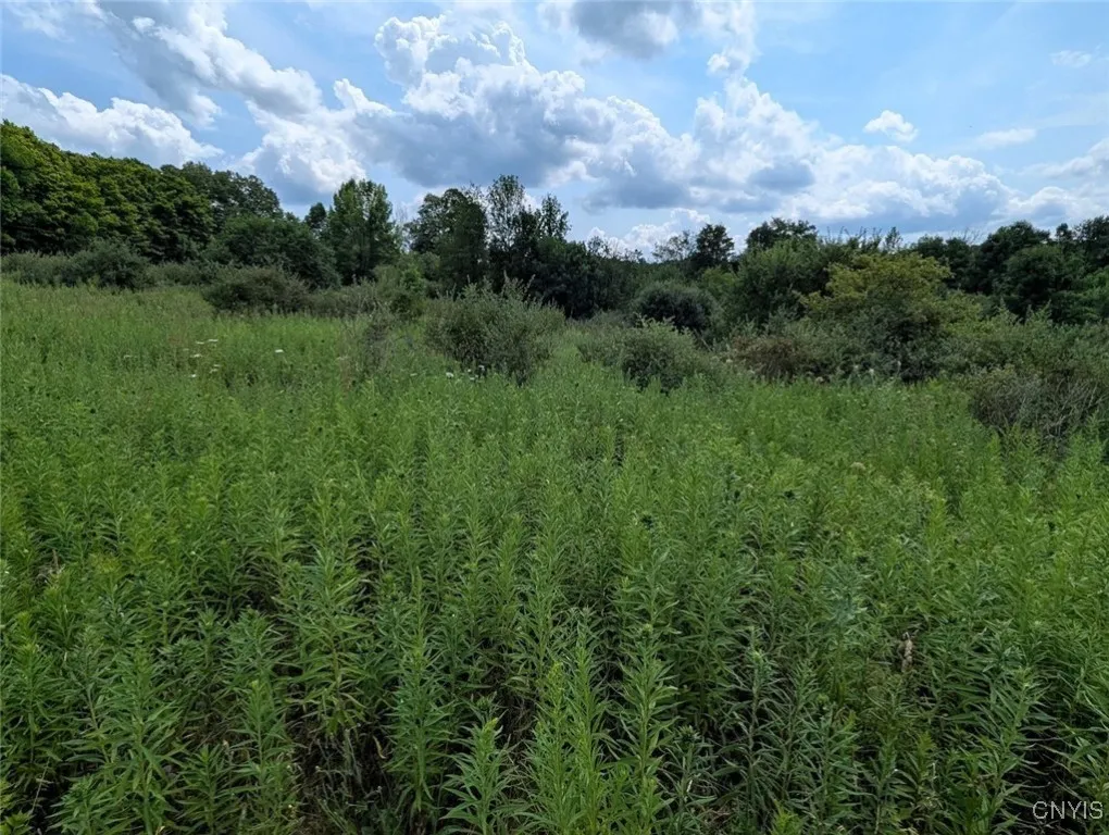 County Route 46, Dansville, New York 14437, Dansville, New York 14437, ,Land,For Sale,County Route 46, Dansville, New York 14437,S1627490