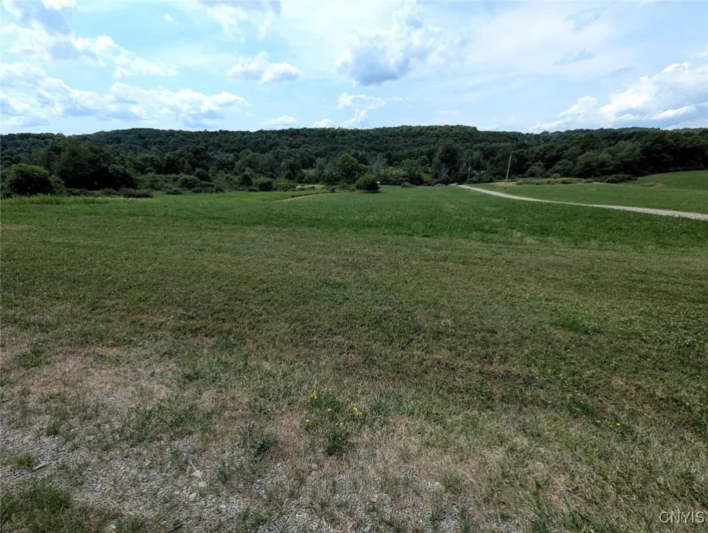County Route 46, Dansville, New York 14437, Dansville, New York 14437, ,Land,For Sale,County Route 46, Dansville, New York 14437,S1627490