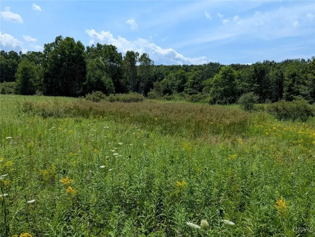 County Route 46, Dansville, New York 14437, Dansville, New York 14437, ,Land,For Sale,County Route 46, Dansville, New York 14437,S1627490