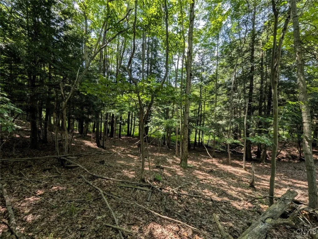 County Route 46, Dansville, New York 14437, Dansville, New York 14437, ,Land,For Sale,County Route 46, Dansville, New York 14437,S1627490