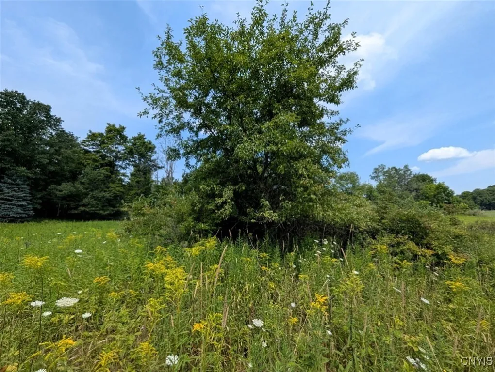 County Route 46, Dansville, New York 14437, Dansville, New York 14437, ,Land,For Sale,County Route 46, Dansville, New York 14437,S1627490