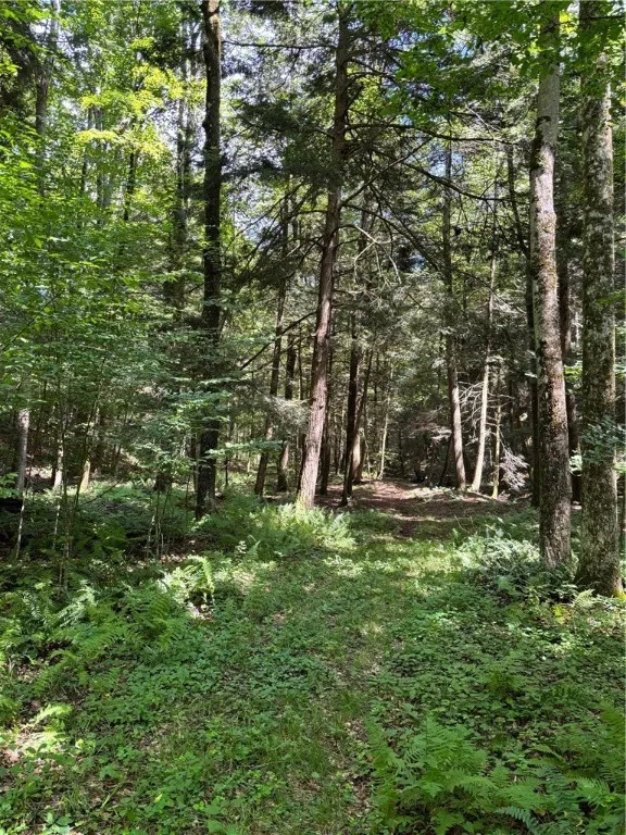 17236 State Highway 8, Masonville, New York 13804, Masonville, New York 13804, 2 Bedrooms Bedrooms, 6 Rooms Rooms,2 BathroomsBathrooms,Residential,For Sale,17236 State Highway 8, Masonville, New York 13804,R1627406
