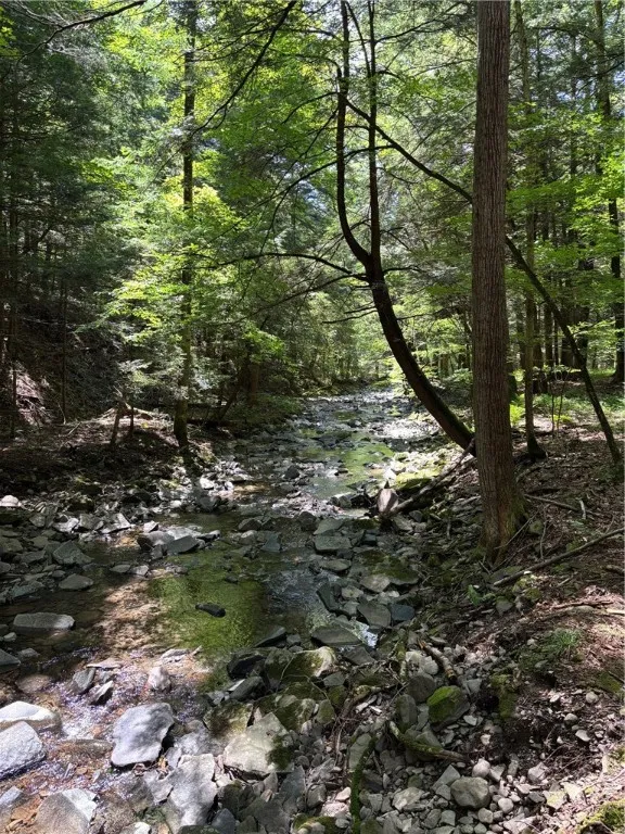17236 State Highway 8, Masonville, New York 13804, Masonville, New York 13804, 2 Bedrooms Bedrooms, 6 Rooms Rooms,2 BathroomsBathrooms,Residential,For Sale,17236 State Highway 8, Masonville, New York 13804,R1627406