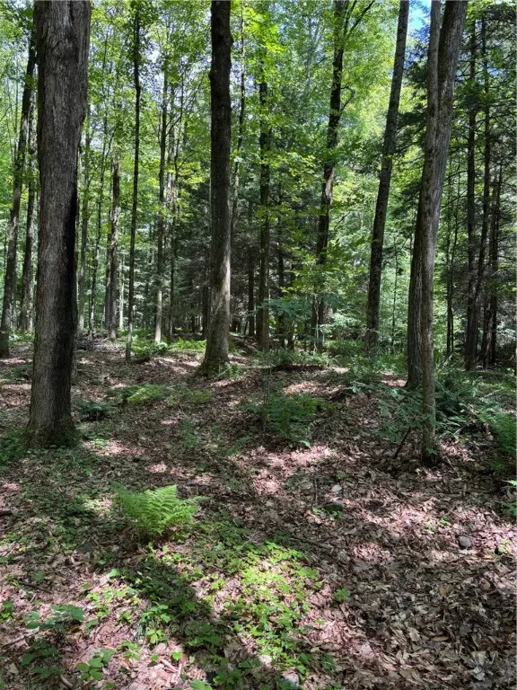 17236 State Highway 8, Masonville, New York 13804, Masonville, New York 13804, 2 Bedrooms Bedrooms, 6 Rooms Rooms,2 BathroomsBathrooms,Residential,For Sale,17236 State Highway 8, Masonville, New York 13804,R1627406