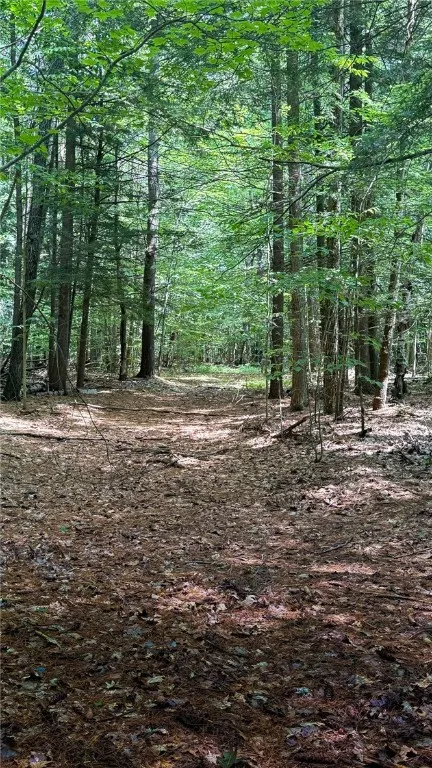 Westford, New York 12155, 5 Bedrooms Bedrooms, 13 Rooms Rooms,3 BathroomsBathrooms,Residential,For Sale,R1627207