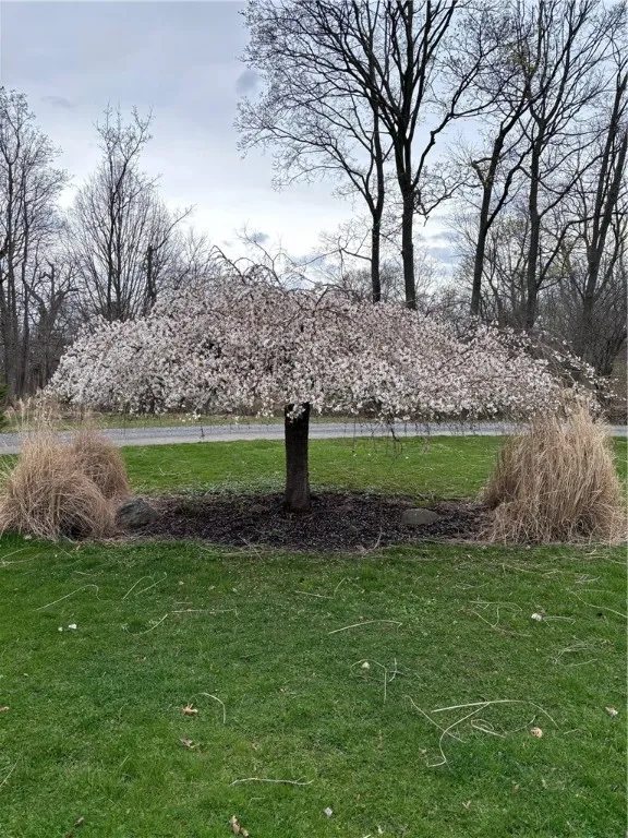 556 Main Street, Ledyard, New York 13026, Ledyard, New York 13026, 4 Bedrooms Bedrooms, 9 Rooms Rooms,2 BathroomsBathrooms,Residential,For Sale,556 Main Street, Ledyard, New York 13026,R1627221