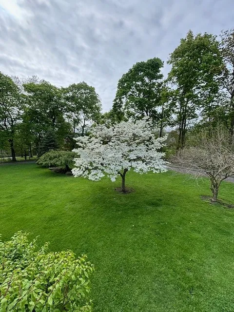 556 Main Street, Ledyard, New York 13026, Ledyard, New York 13026, 4 Bedrooms Bedrooms, 9 Rooms Rooms,2 BathroomsBathrooms,Residential,For Sale,556 Main Street, Ledyard, New York 13026,R1627221