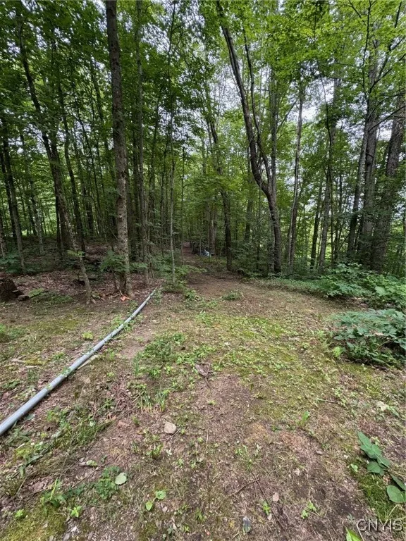 243 Mill Road, Oppenheim, New York 13452, Oppenheim, New York 13452, 2 Rooms Rooms,1 BathroomBathrooms,Land,For Sale,243 Mill Road, Oppenheim, New York 13452,S1627052