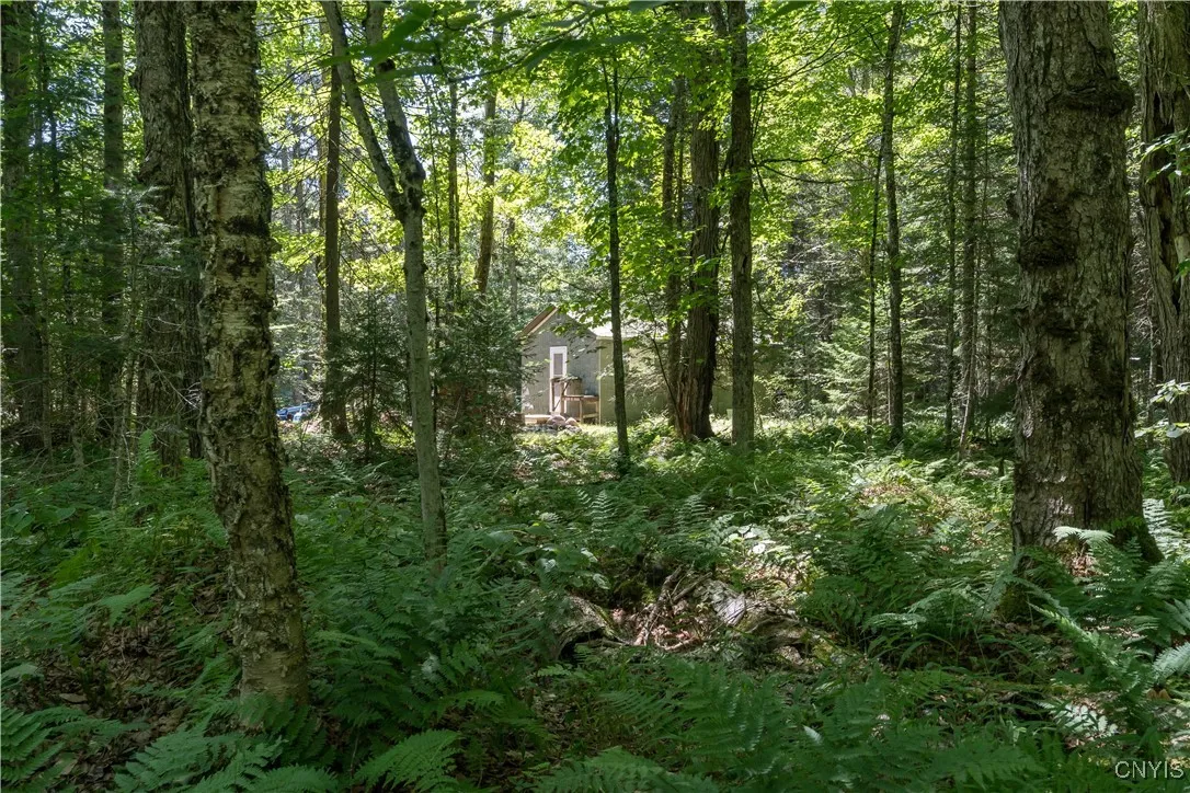 177 Moshier Road, Webb, New York 13367, Webb, New York 13367, 1 Bedroom Bedrooms, 1 Room Rooms,Land,For Sale,177 Moshier Road, Webb, New York 13367,S1627506