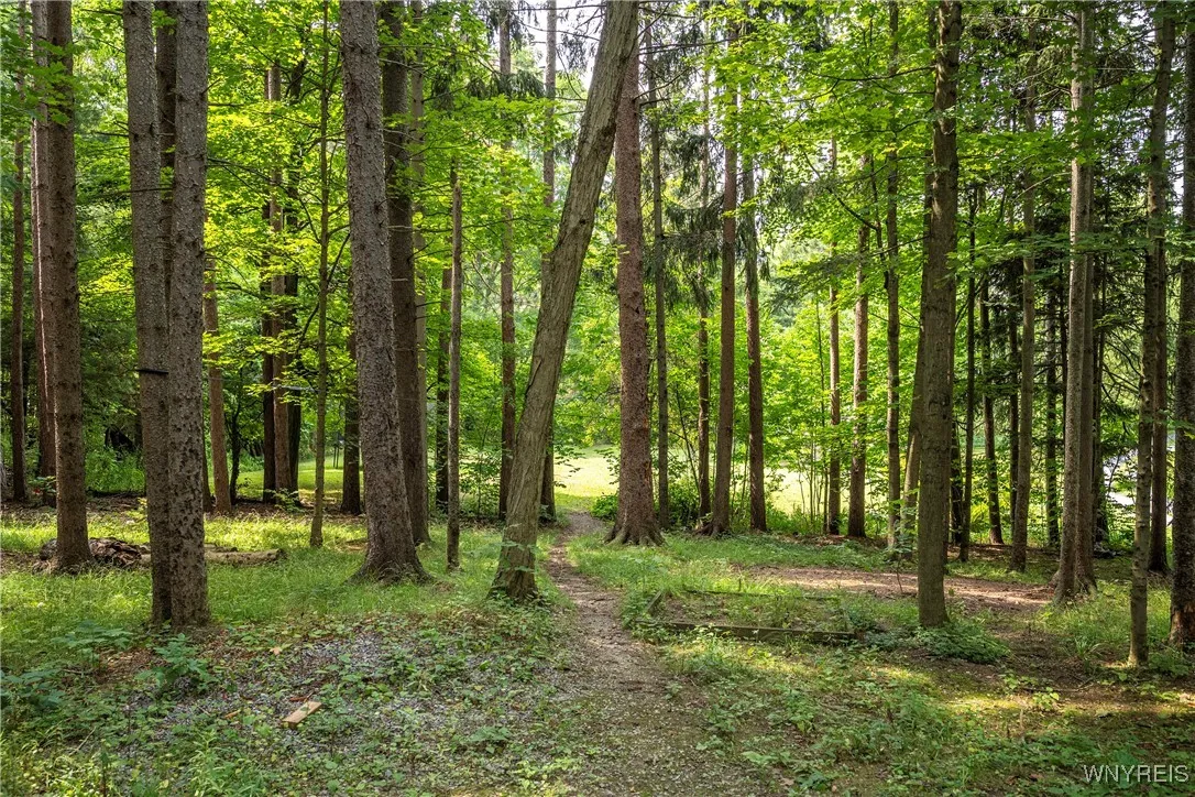 2054 Center St Street, Aurora, New York 14052, Aurora, New York 14052, 3 Bedrooms Bedrooms, 9 Rooms Rooms,2 BathroomsBathrooms,Residential,Closed,2054 Center St Street, Aurora, New York 14052,0,B1626284