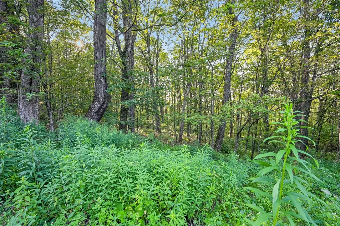 L11.11 Rossman Valley Rd, Summit, New York 12175, Summit, New York 12175, ,Land,Closed,L11.11 Rossman Valley Rd, Summit, New York 12175,0,R1627167