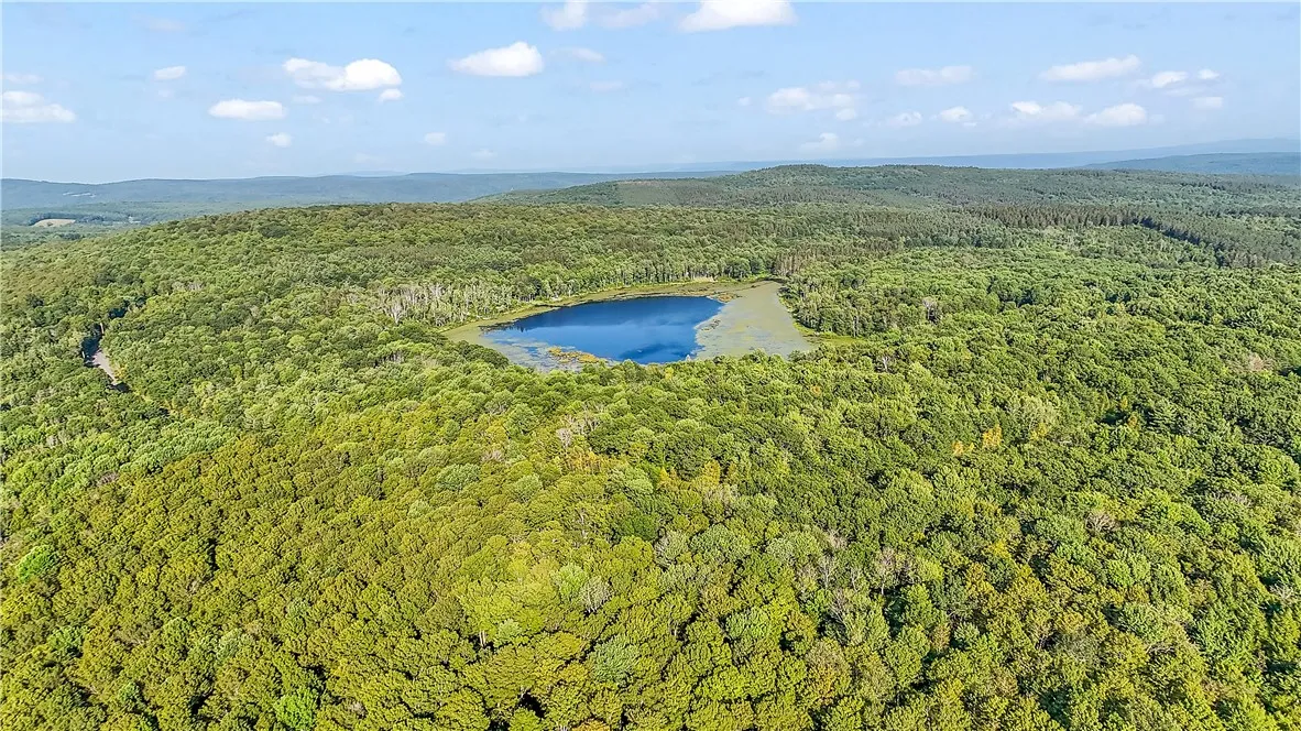 L11.11 Rossman Valley Rd, Summit, New York 12175, Summit, New York 12175, ,Land,Closed,L11.11 Rossman Valley Rd, Summit, New York 12175,0,R1627167