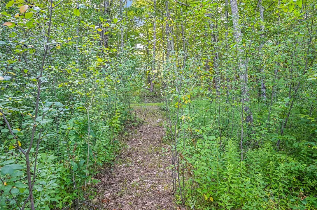 L11.11 Rossman Valley Rd, Summit, New York 12175, Summit, New York 12175, ,Land,Closed,L11.11 Rossman Valley Rd, Summit, New York 12175,0,R1627167