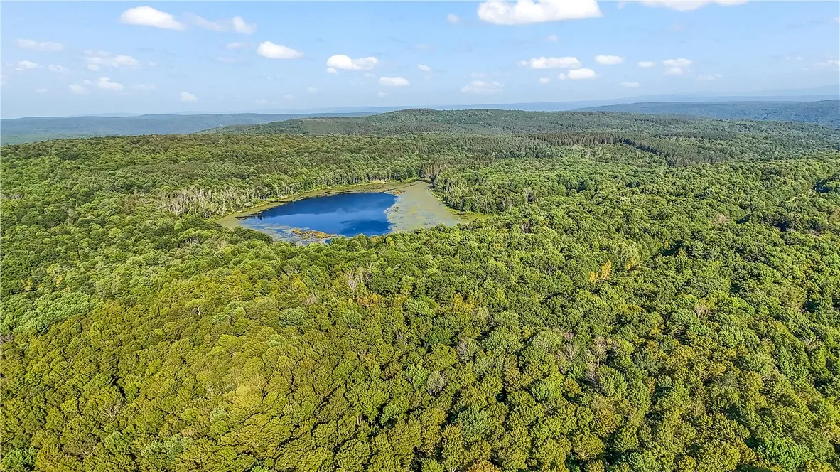 L11.11 Rossman Valley Rd, Summit, New York 12175, Summit, New York 12175, ,Land,Closed,L11.11 Rossman Valley Rd, Summit, New York 12175,0,R1627167