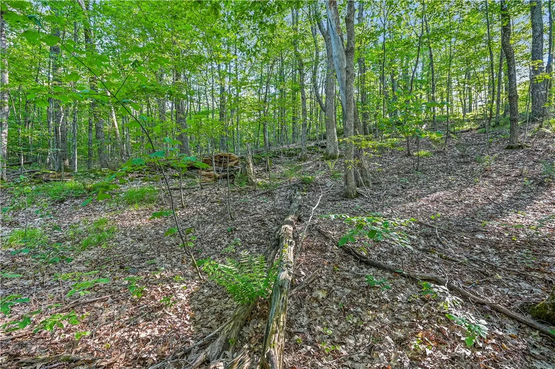 L11.11 Rossman Valley Rd, Summit, New York 12175, Summit, New York 12175, ,Land,Closed,L11.11 Rossman Valley Rd, Summit, New York 12175,0,R1627167