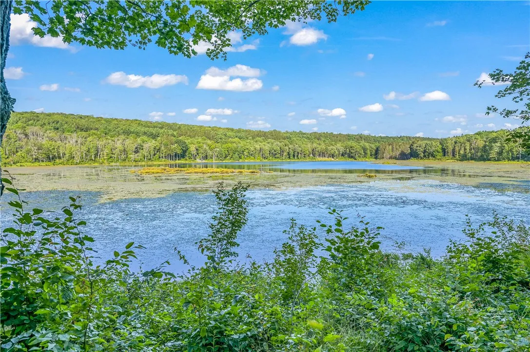 L11.11 Rossman Valley Rd, Summit, New York 12175, Summit, New York 12175, ,Land,Closed,L11.11 Rossman Valley Rd, Summit, New York 12175,0,R1627167