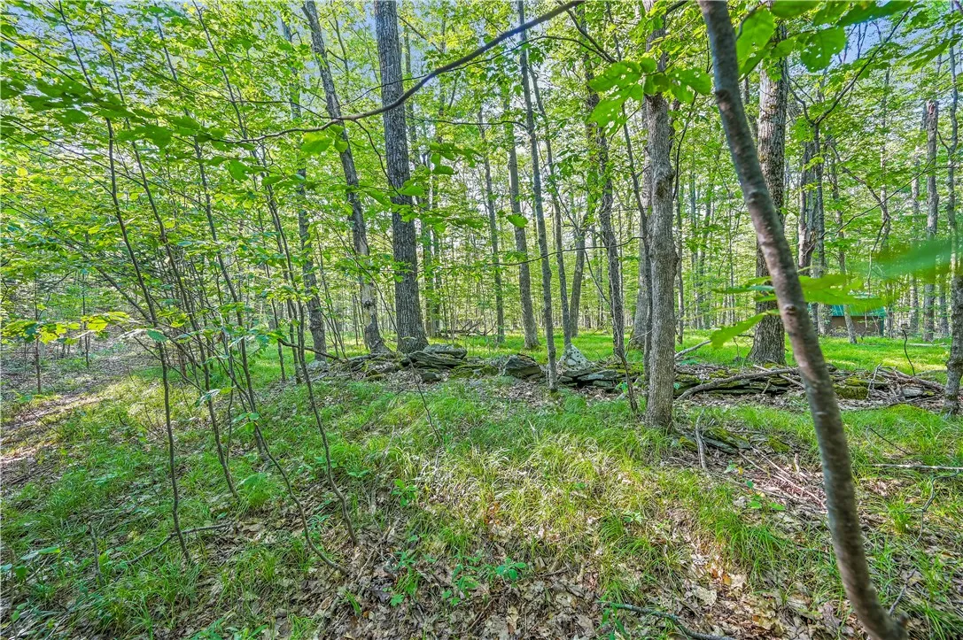 L11.11 Rossman Valley Rd, Summit, New York 12175, Summit, New York 12175, ,Land,Closed,L11.11 Rossman Valley Rd, Summit, New York 12175,0,R1627167