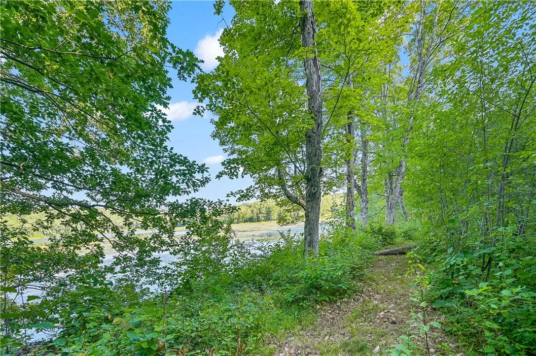 L11.11 Rossman Valley Rd, Summit, New York 12175, Summit, New York 12175, ,Land,Closed,L11.11 Rossman Valley Rd, Summit, New York 12175,0,R1627167