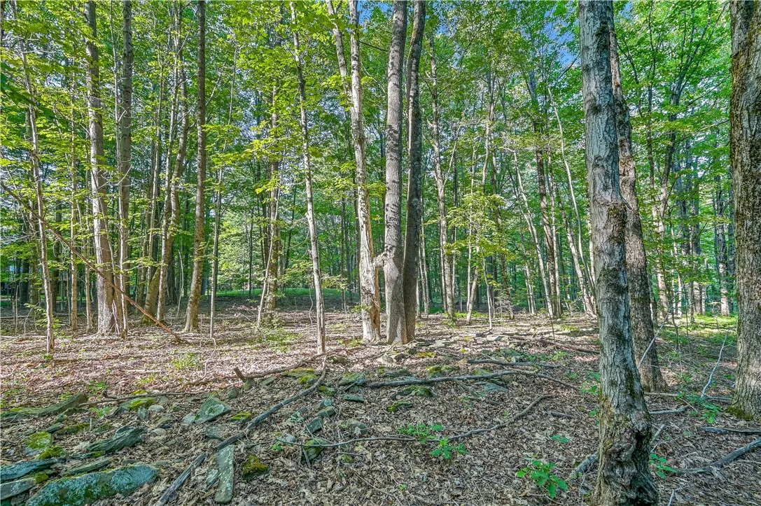 L11.11 Rossman Valley Rd, Summit, New York 12175, Summit, New York 12175, ,Land,Closed,L11.11 Rossman Valley Rd, Summit, New York 12175,0,R1627167