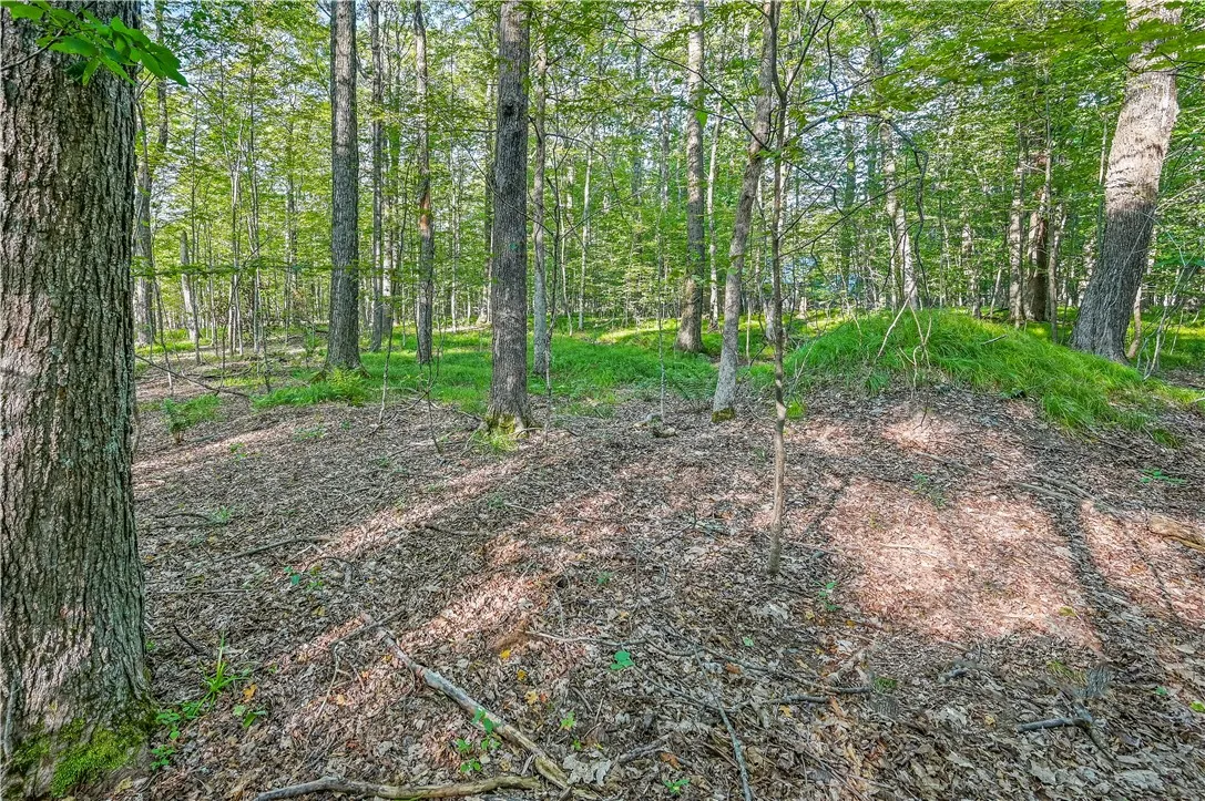 L11.11 Rossman Valley Rd, Summit, New York 12175, Summit, New York 12175, ,Land,Closed,L11.11 Rossman Valley Rd, Summit, New York 12175,0,R1627167