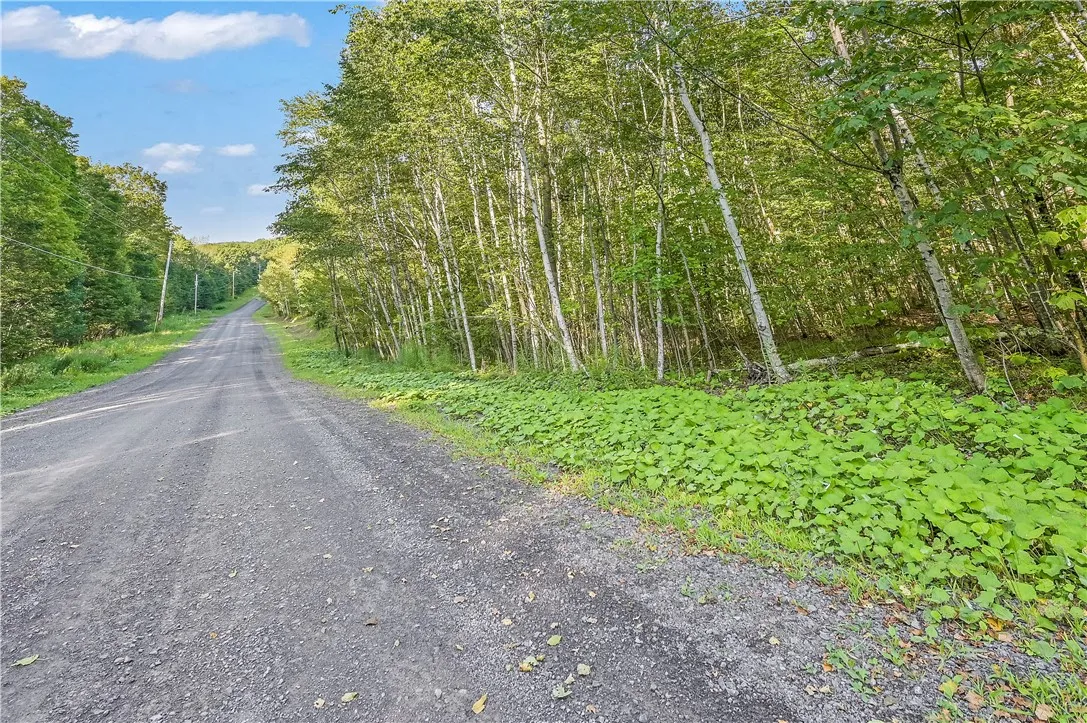 L11.11 Rossman Valley Rd, Summit, New York 12175, Summit, New York 12175, ,Land,Closed,L11.11 Rossman Valley Rd, Summit, New York 12175,0,R1627167