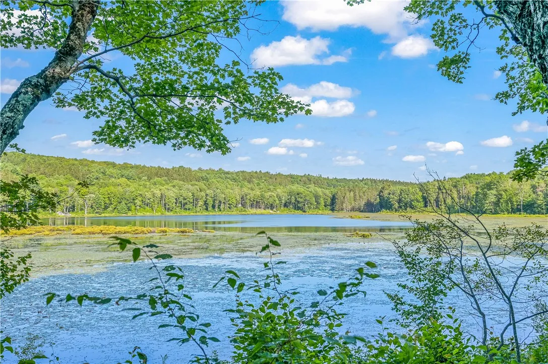 L11.11 Rossman Valley Rd, Summit, New York 12175, Summit, New York 12175, ,Land,Closed,L11.11 Rossman Valley Rd, Summit, New York 12175,0,R1627167