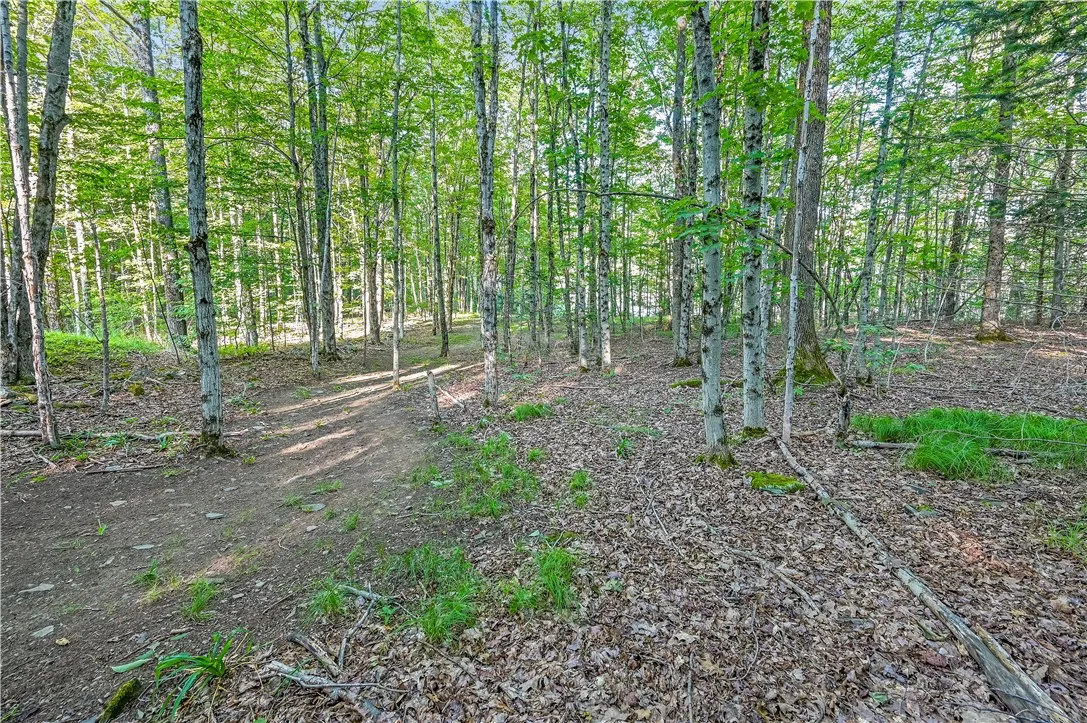 L11.11 Rossman Valley Rd, Summit, New York 12175, Summit, New York 12175, ,Land,Closed,L11.11 Rossman Valley Rd, Summit, New York 12175,0,R1627167