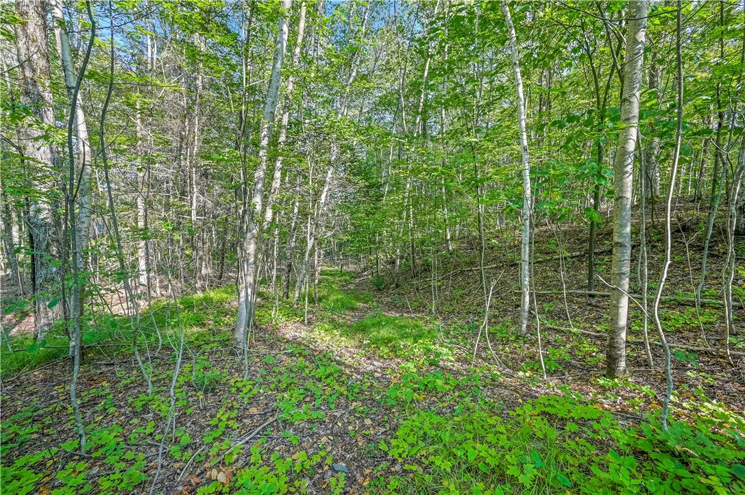 L11.11 Rossman Valley Rd, Summit, New York 12175, Summit, New York 12175, ,Land,Closed,L11.11 Rossman Valley Rd, Summit, New York 12175,0,R1627167