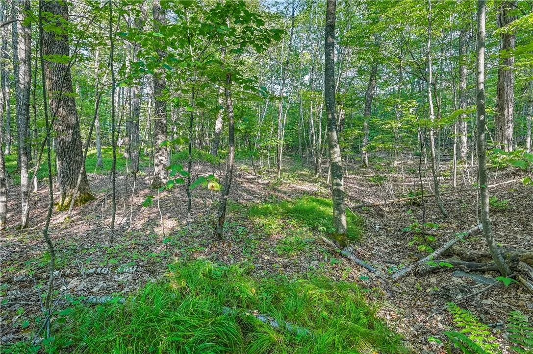 L11.11 Rossman Valley Rd, Summit, New York 12175, Summit, New York 12175, ,Land,Closed,L11.11 Rossman Valley Rd, Summit, New York 12175,0,R1627167