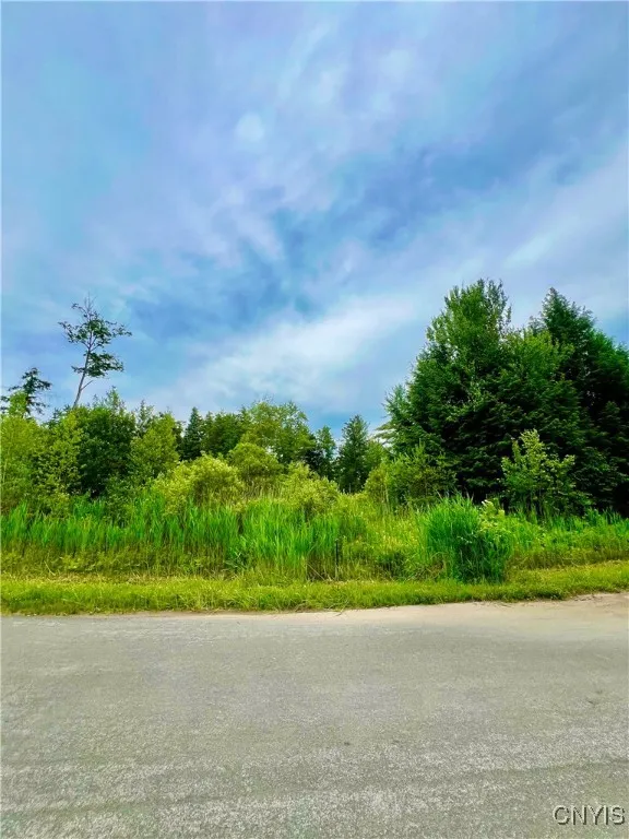 Lot 6