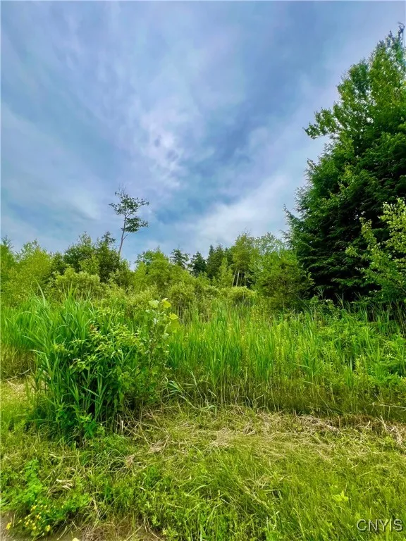 Lot 6