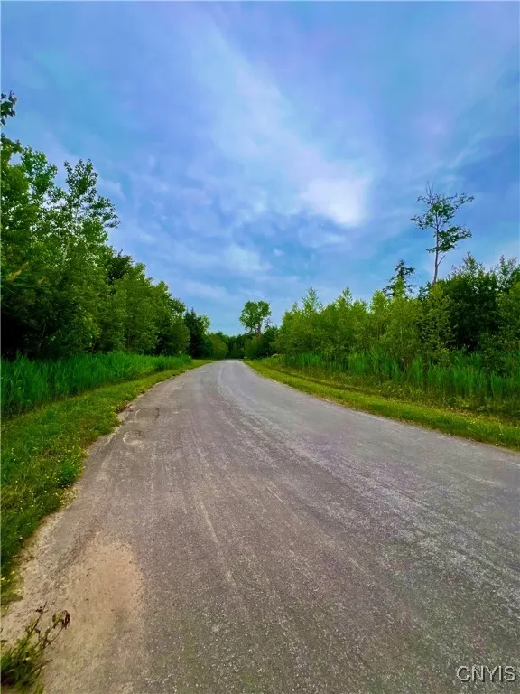 Forest Ridge Drive