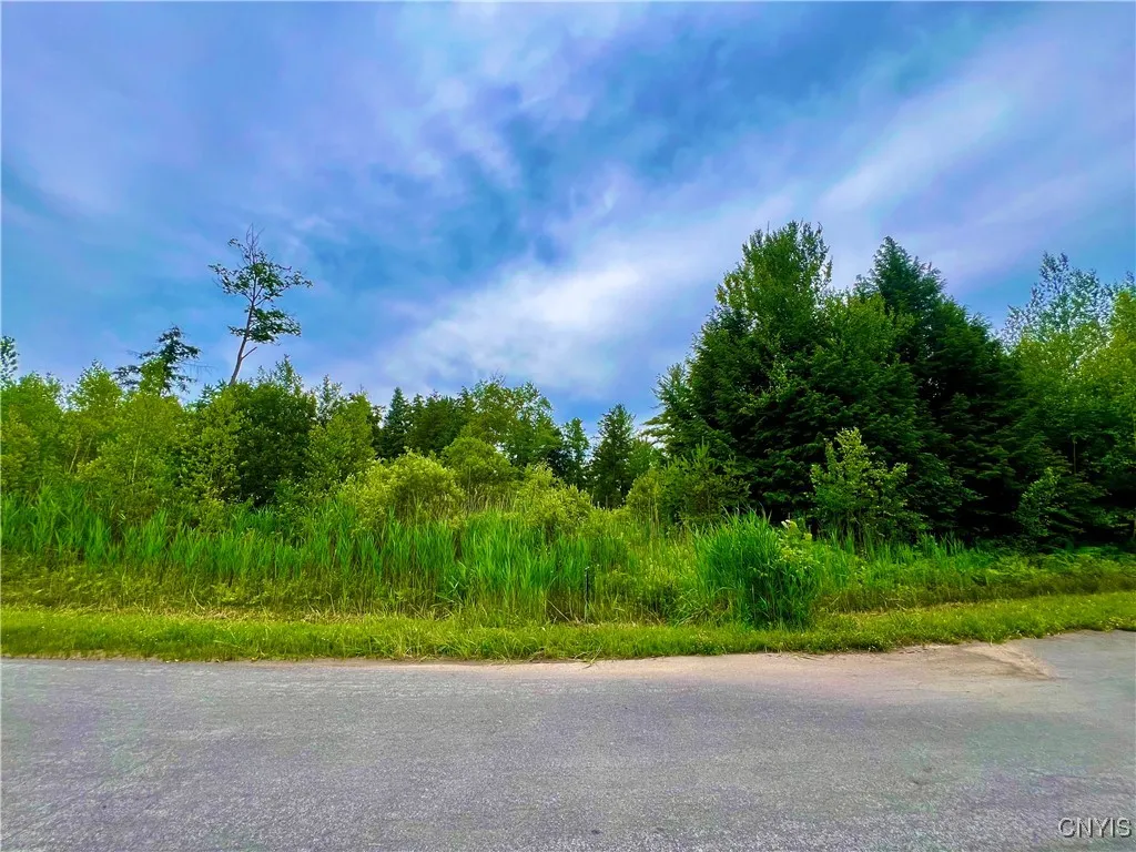 Lot 6 Forest Ridge Drive, Rome, New York 13440, Rome, New York 13440, ,Land,For Sale,Lot 6 Forest Ridge Drive, Rome, New York 13440,0,S1627338